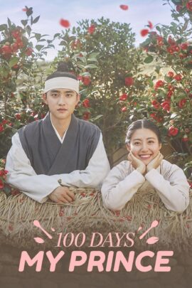 100 Days My Prince Season 1 Korean With Hindi Subtitle