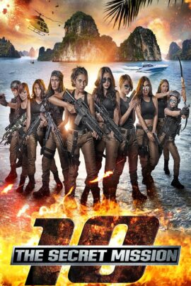 10: The Secret Mission 2017 Dual Audio Hindi-Indonesian 480p 720p 1080p