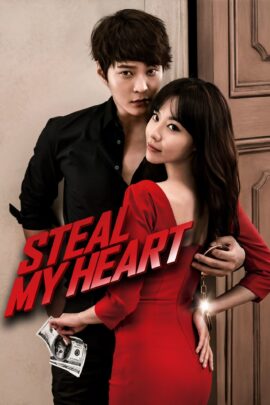 Steal My Heart 2013 Dual Audio Hindi-Korean 480p 720p 1080p