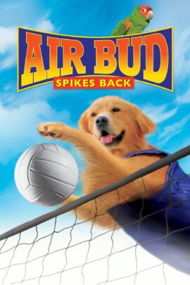 Air Bud: Spikes Back 2003 Dual Audio Hindi-English 480p 720p 1080p