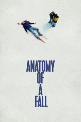 Anatomy of a Fall 2023 Dual Audio Hindi-French 480p 720p 1080p