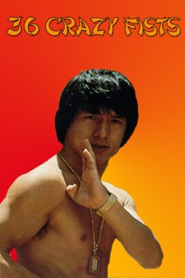 Jackie Chan And The 36 Crazy Fists 1976 Dual Audio Hindi-English 480p 720p 1080p