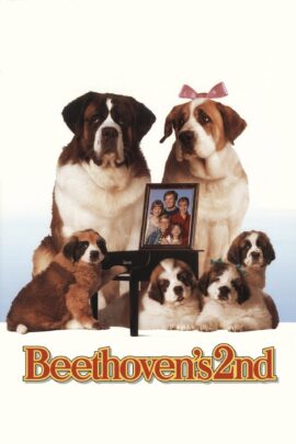 Beethoven's 2nd 1993 Dual Audio Hindi-English 480p 720p 1080p
