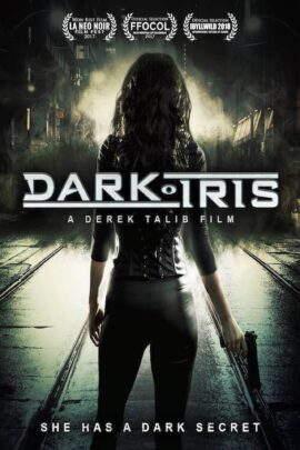 Dark Iris 2018 Dual Audio Hindi-English 480p 720p 1080p