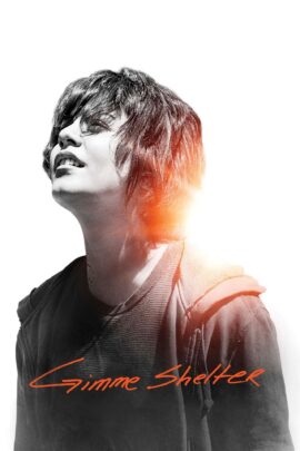 Gimme Shelter 2013 Dual Audio Hindi-English 480p 720p 1080p