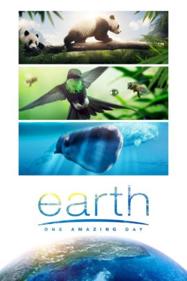Earth: One Amazing Day 2017 Dual Audio Hindi-English 480p 720p 1080p