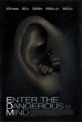 Enter the Dangerous Mind 2013 Dual Audio Hindi-English 480p 720p 1080p