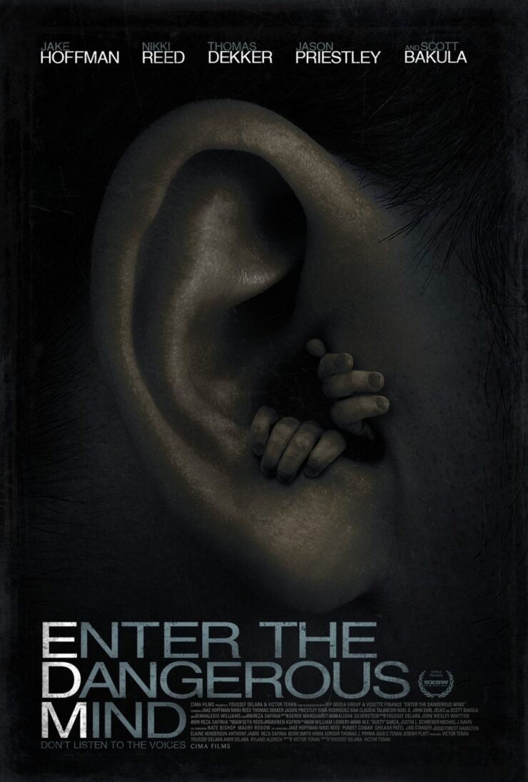 Enter the Dangerous Mind 2013 Dual Audio Hindi-English 480p 720p 1080p