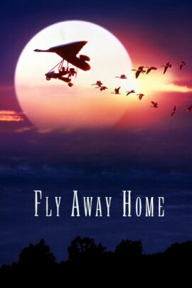 Fly Away Home 1996 Dual Audio Hindi-English 480p 720p 1080p