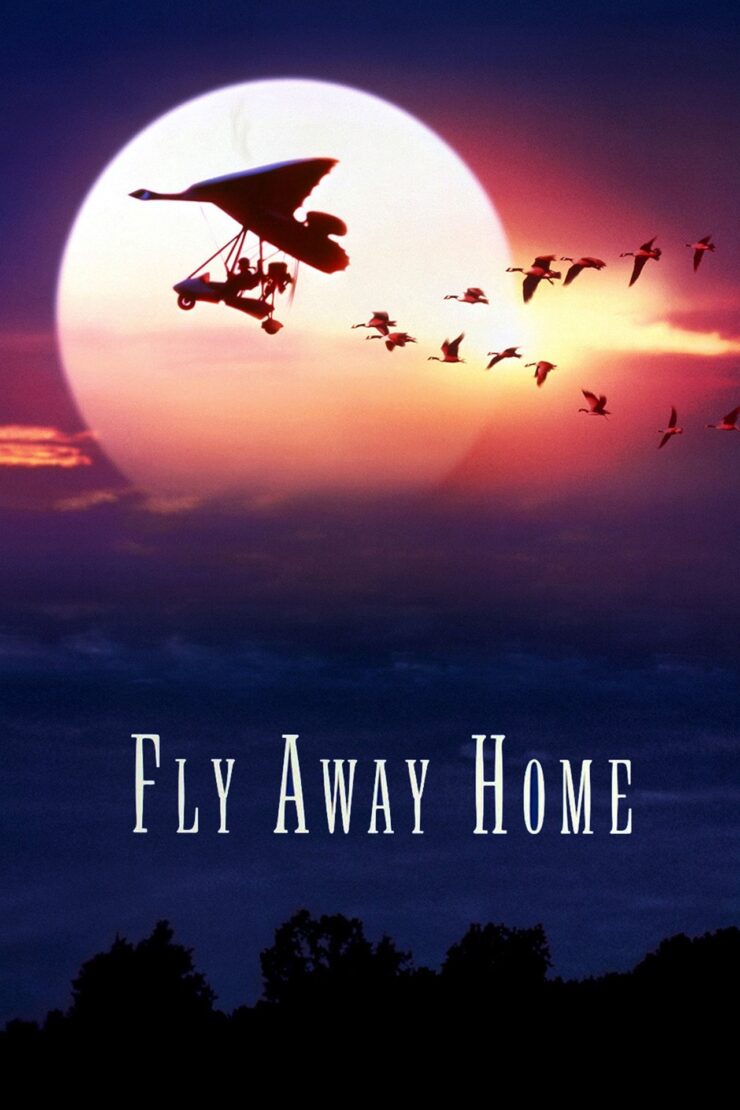 Fly Away Home 1996 Dual Audio Hindi-English 480p 720p 1080p