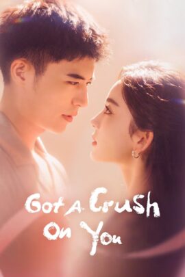 Got a Crush on You Season 1 Hindi Dubbed 720p 1080p