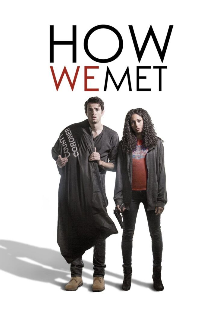 How We Met 2016 Dual Audio Hindi-English 480p 720p 1080p