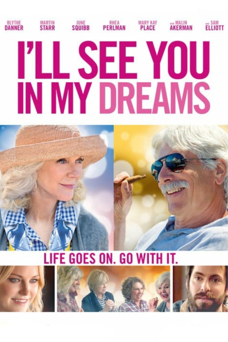 I'll See You in My Dreams 2015 Dual Audio Hindi-English 480p 720p 1080p