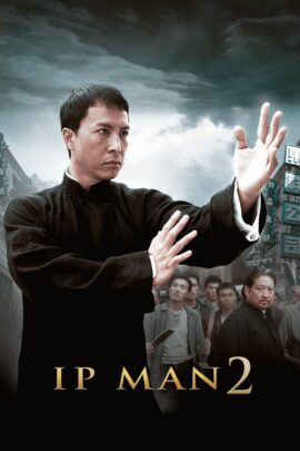 Ip Man 2 2010 Dual Audio Hindi-English 480p 720p 1080p