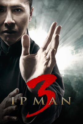Ip Man 3 2015 Dual Audio Hindi-Chinese 480p 720p 1080p