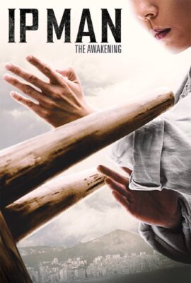 Ip Man: The Awakening 2021 Dual Audio Hindi-English 480p 720p 1080p