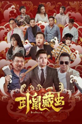 Brothers 2022 Dual Audio Hindi-Chinese 480p 720p 1080p