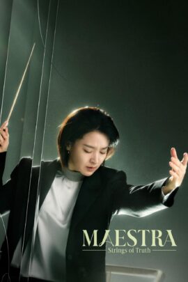 Maestra: Strings of Truth Season 1 Korean With Hindi Subtitle 720p 1080p