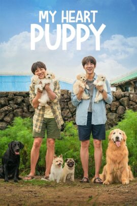 My Heart Puppy 2023 Dual Audio Hindi-Korean 480p 720p 1080p