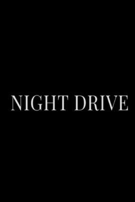 Night Drive 2019 Dual Audio Hindi-English 480p 720p 1080p