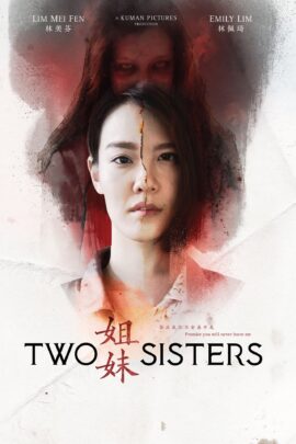 Two Sisters 2019 Dual Audio Hindi-Chinese 480p 720p 1080p