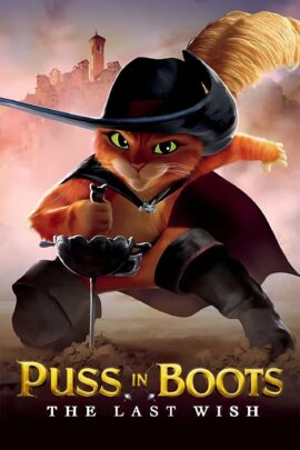 Puss in Boots: The Last Wish 2022 Dual Audio Hindi-English 480p 720p 1080p