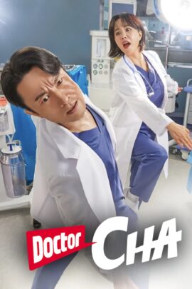 Doctor Cha Season 1 Korean With Hindi Subtitle 720p 1080p