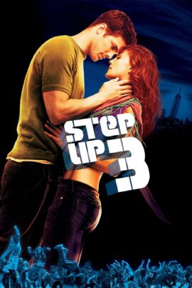 Step Up 3D 2010 Dual Audio Hindi-English 480p 720p 1080p