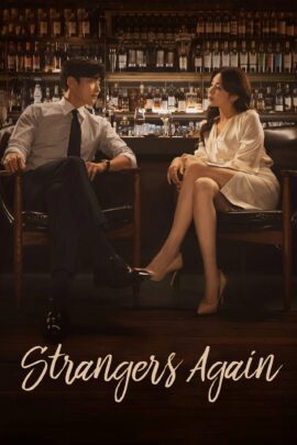 Strangers Again Season 1 Korean With Hindi Subtitle 720p 1080p