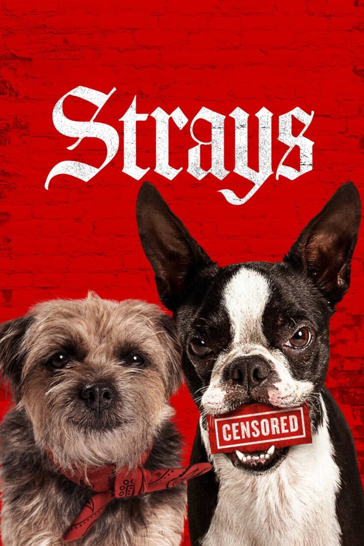 Strays 2023 Dual Audio Hindi-English 480p 720p 1080p