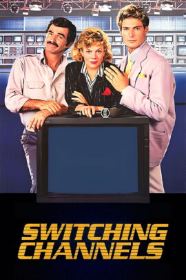Switching Channels 1988 Dual Audio Hindi-English 480p 720p 1080p