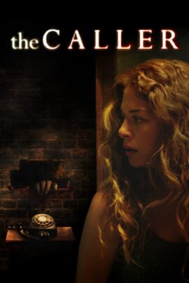 The Caller 2011 Dual Audio Hindi-English 480p 720p 1080p