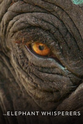 The Elephant Whisperers 2022 Dual Audio Hindi-English 480p 720p 1080p