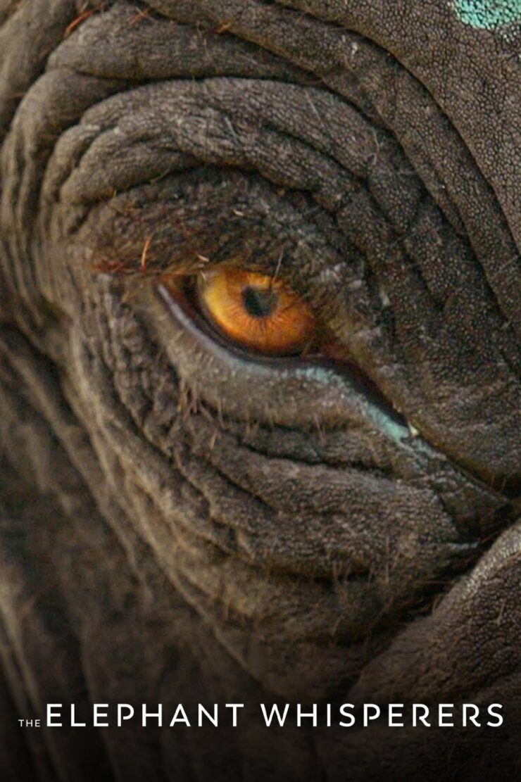The Elephant Whisperers 2022 Dual Audio Hindi-English 480p 720p 1080p