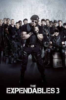 The Expendables 3 2014 Dual Audio Hindi-English 480p 720p 1080p