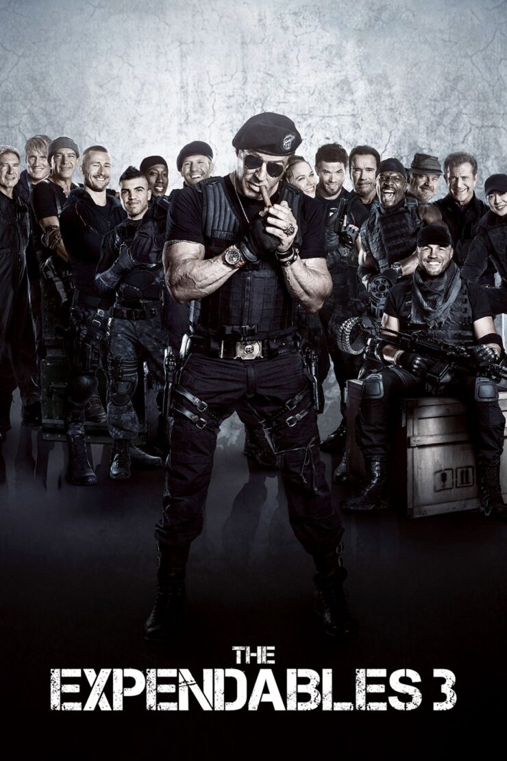 The Expendables 3 2014 Dual Audio Hindi-English 480p 720p 1080p