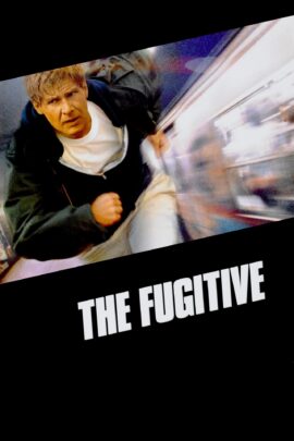 The Fugitive 1993 Dual Audio Hindi-English 480p 720p 1080p