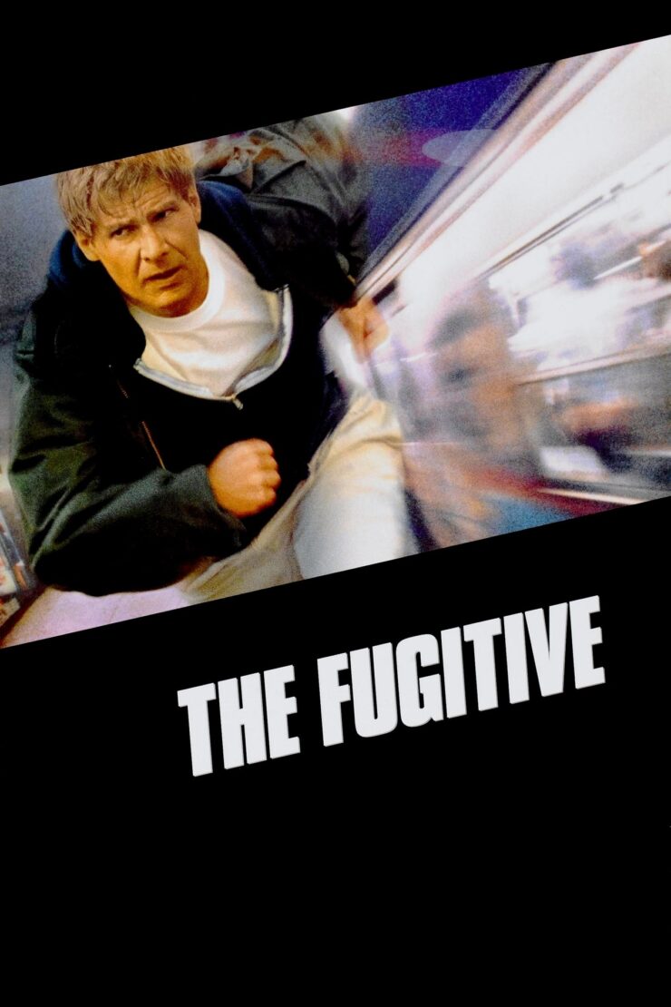 The Fugitive 1993 Dual Audio Hindi-English 480p 720p 1080p