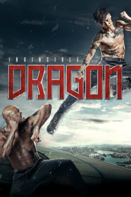 The Invincible Dragon 2019 Dual Audio Hindi-Chinese 480p 720p 1080p
