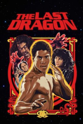The Last Dragon 1985 Dual Audio Hindi-English 480p 720p 1080p