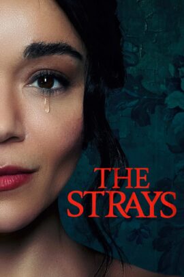 The Strays 2023 Dual Audio Hindi-English 480p 720p 1080p