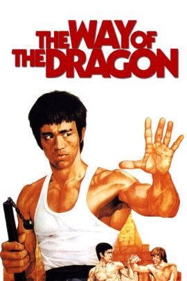 The Way of the Dragon 1972 Multi Audio Hindi-English-Chinese 480p 720p 1080p