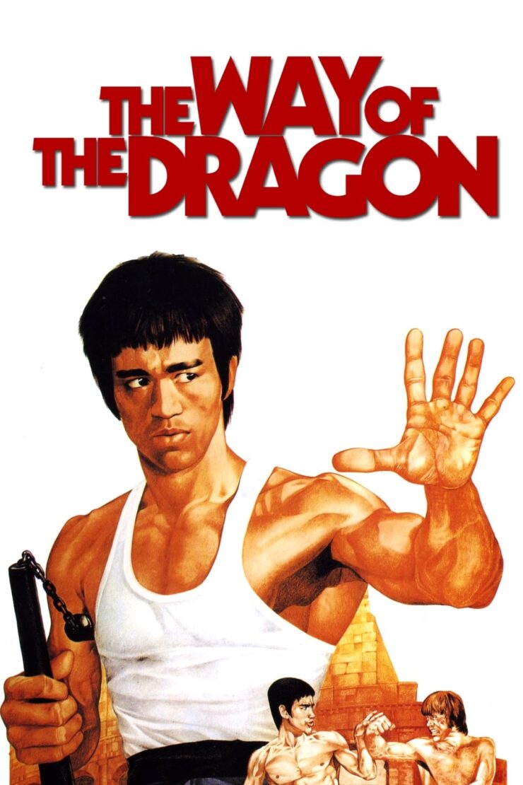 The Way of the Dragon 1972 Multi Audio Hindi-English-Chinese 480p 720p 1080p