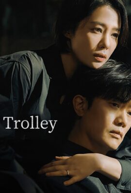 Trolley Season 1 Korean With Hindi Subtitle 720p 1080p