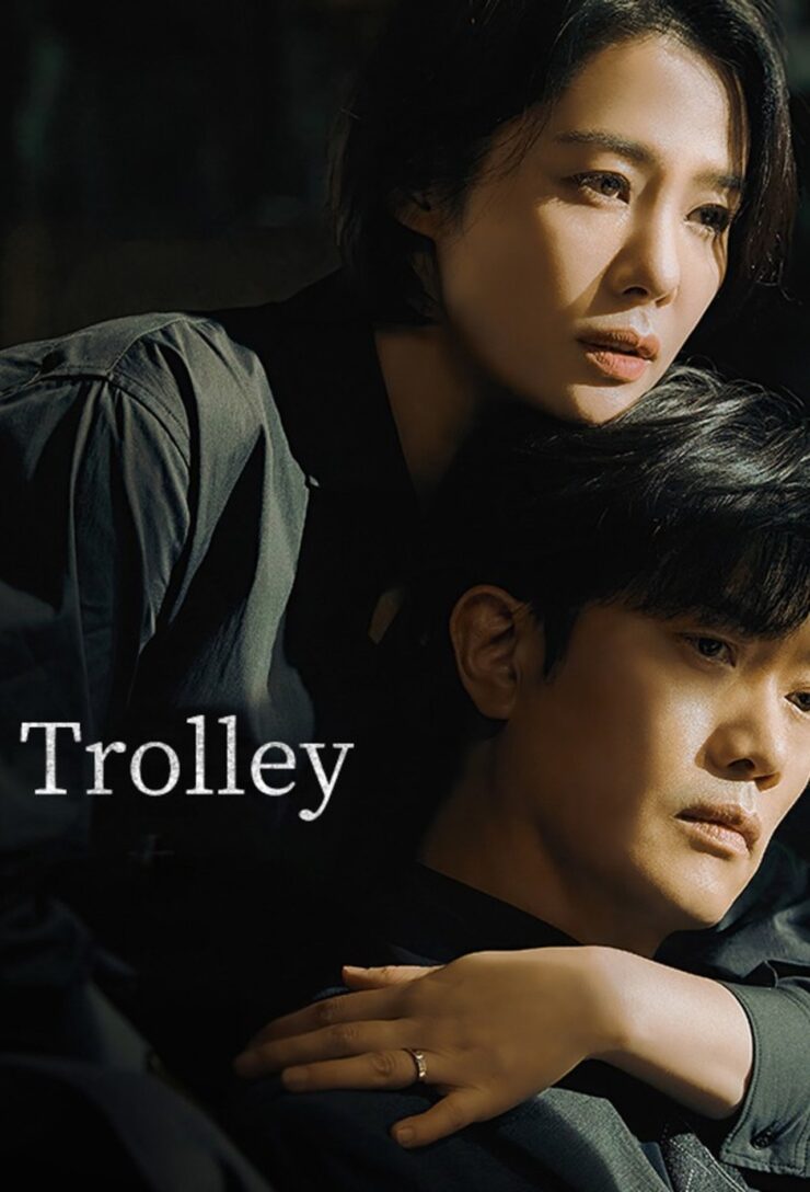 Trolley Season 1 Korean With Hindi Subtitle 720p 1080p