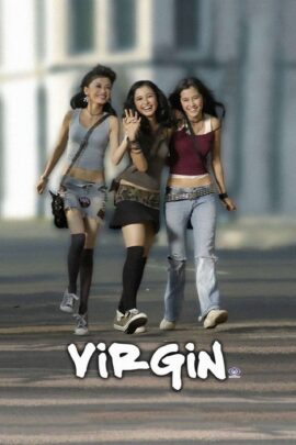 Virgin 2004 Dual Audio Hindi-Indonesian 480p 720p 1080p