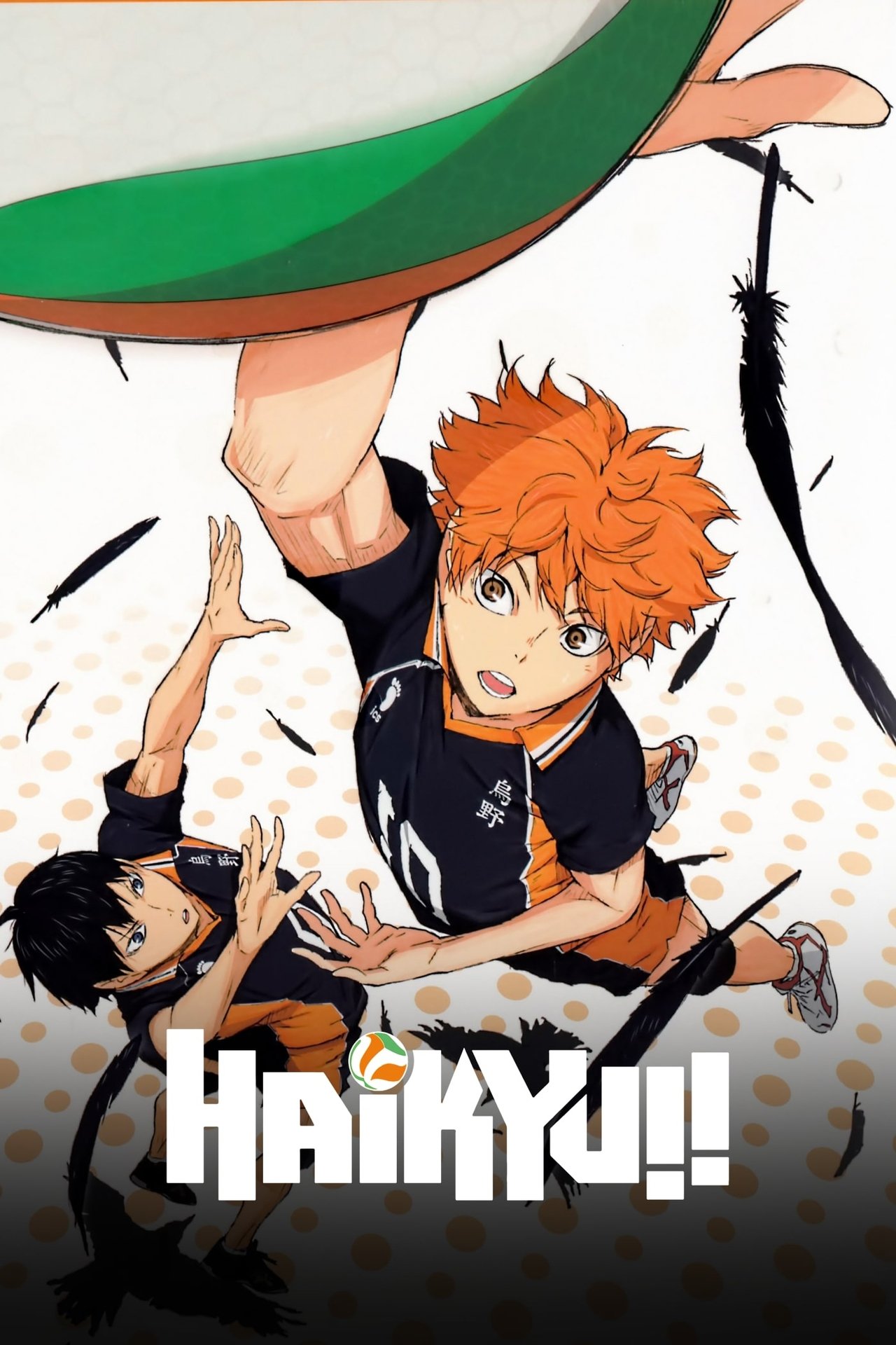 Haikyu!! Season 1-3 Dual Audio Hindi-Japanese 480p 720p 1080p