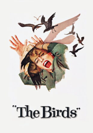 The Birds 1963 Dual Audio Hindi-English 480p 720p 1080p 4K